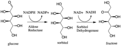 pathway alt text