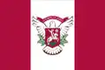 Flag of Vyshneve