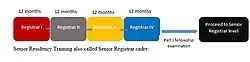 Progression form registrar cadre to Senior Registrar cadre. At the Stage of Registrar II an attempt are allowed in some specialities to write the examination to advance to Senor Registrar cadre