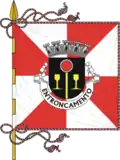 Flag of Entroncamento