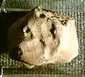 Pultusk fragment, Museum of Technology in Warsaw