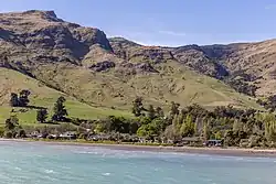 Purau