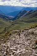 The Inca road system