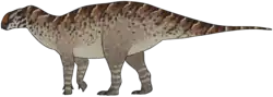 Qianjiangsaurus changshengi