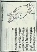 〈撥〉 Bo