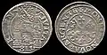 Riga silver coin (silver 437.5, weight 2.70-2.85 g, diameter 22.0-23.2&nbsp;mm, minted 1564–1569, 1579).