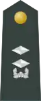 Middle Lieutenant