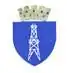 Coat of arms of Moinești
