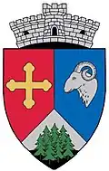 Coat of arms of Brăești
