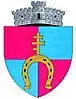 Coat of arms of Vlădeni
