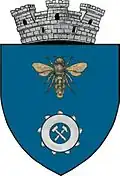Coat of arms of Berbești