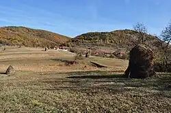 Colești village