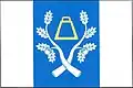 Flag of Rašín