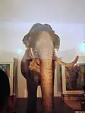 Raja's stuffed remains.