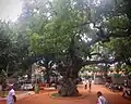 Ramanasaramam Compound