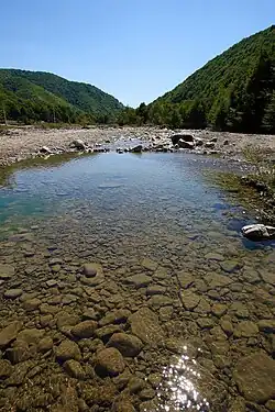 The River Putna in Lepșa