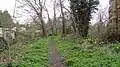 Ravensbury Park