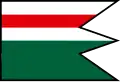 Flag of Repejov