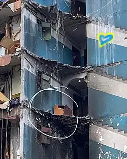 Cat rescued after two months from a dilapidated building, which became a symbol of Ukrainian resistance