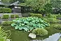 Rinzai-ji gardens