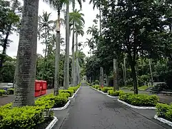 Alley