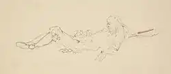 Rip van Winkle, Graphite on beige wove paper, Princeton University Art Museum