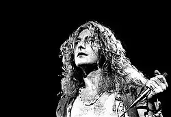Male cock-rocker displaying his bare chest