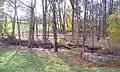 The Pocantico River within Rockefeller State Park Preserve.