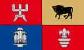 Flag of Rokiškis