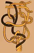 tying of Rose knot on 4 ropes