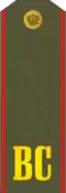 ... ryadovoy land forces and SMT PF Army (1994–2010)