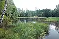 Small lakes and extensive boglands