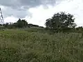 Ryhall Pasture