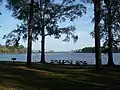 Another view of the bayou