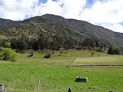 Livestock farming