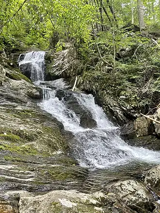 Falls
