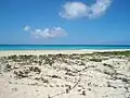 Sandy Point beach