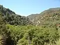 San Gabriel Canyon