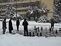 Chess playing