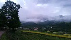 Sarkam's Nature