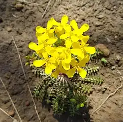 In Osage County, Oklahoma