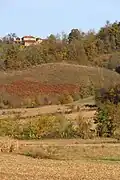 Ostružanj - panorama