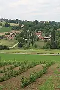 Petnica - panorama