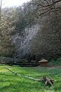 Petnica cave