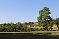 Virovac - Panorama