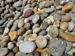 Large shingle at Chesil Cove (south-eastern end)