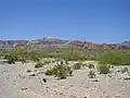 Dry desert wash shoulder