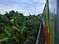 The Sibinuang train curves on the way from Padang to Pariaman