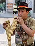 Siku, Pan pipes, Bolivia or Peru, Andes Mountains