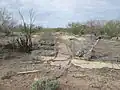 The ruins of a house in Silver Bell.